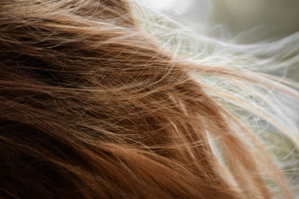 Remy vs Synthetic Clip-in Extensions: What to Choose?